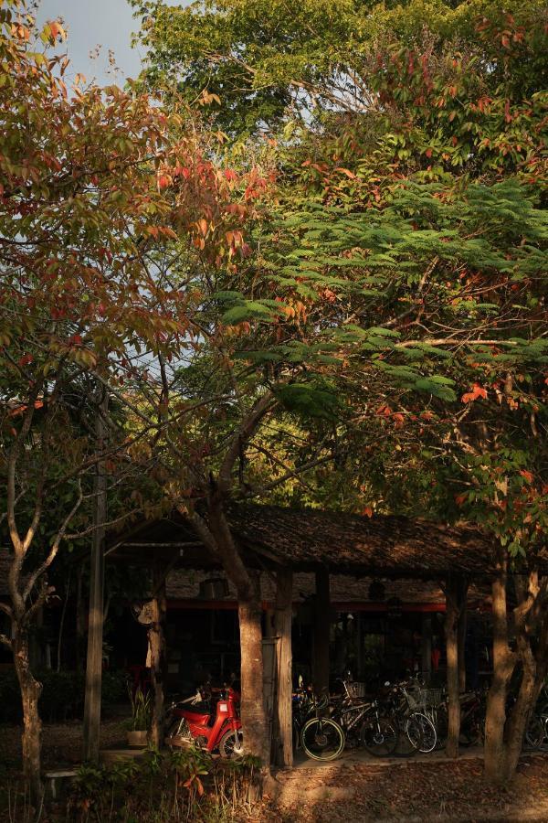 Art House At Chiangdao - Starhouse Hotel Chiang Dao Bagian luar foto